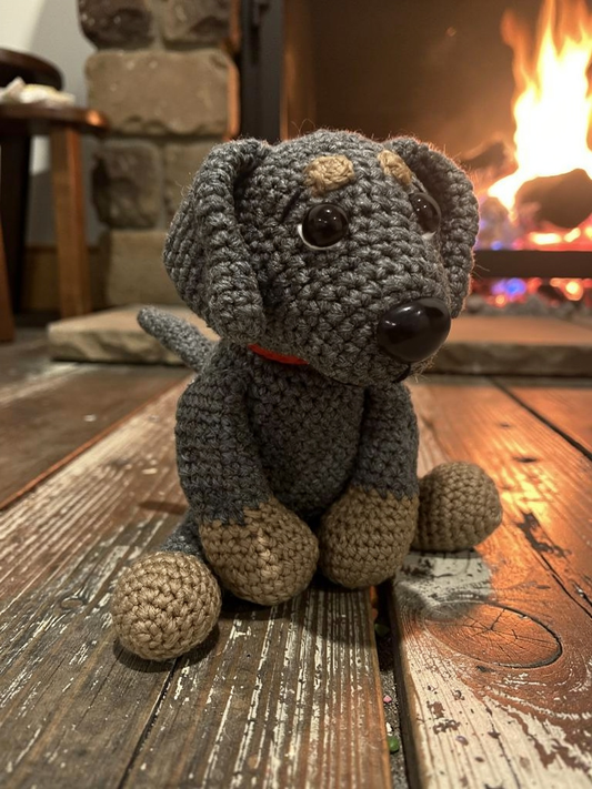 Coop the Kelpie